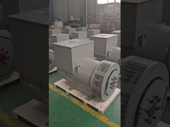 Classe H 10-1000 KW generatore ad azionamento alternativo a 3 fasi senza spazzole Premium