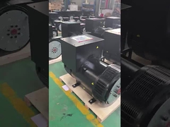 Generatore diesel monofase 10kVA 1500 giri/min o 1800 giri/min senza spazzole