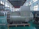 comprare Passo autoeccitato 80KW 2/3 dell'alternatore senza spazzola trifase di MX341+PMG online manufacture