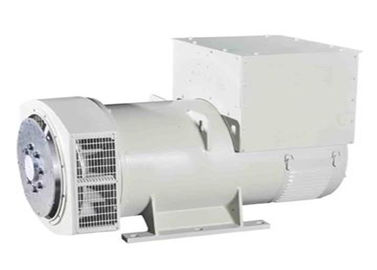 comprare Sistema di avvio elettrico Generatore climatizzato 1000 kg per applicazioni industriali online manufacture