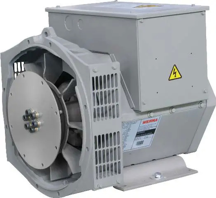 comprare Potente generatore a corrente alternata monofase da 2,2 kW per varie applicazioni online manufacture