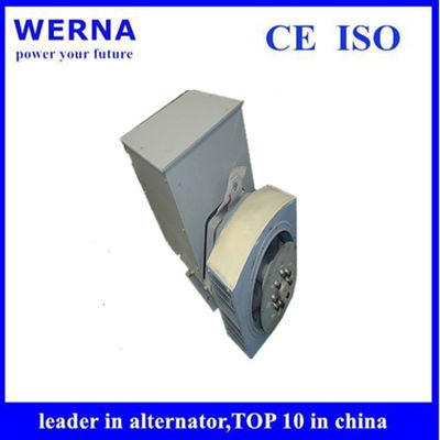 comprare Three-Phase Induction Generators Low THF and Copper Winding Material for Sustainable Power Generation online manufacture