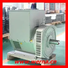 Classe di isolamento H Voltaggio nominale 220V Generatore alternativo monofase