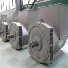 Classe H 10-1000 KW generatore ad azionamento alternativo a 3 fasi senza spazzole Premium