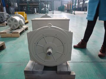 110V ~ doppio alternatore senza spazzola sincrono 40kw/50kva del cuscinetto 690V