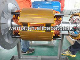 Alternatore trifase senza spazzole con avvolgimento in rame al 100% Classe di isolamento H e montaggio tipo Stamford