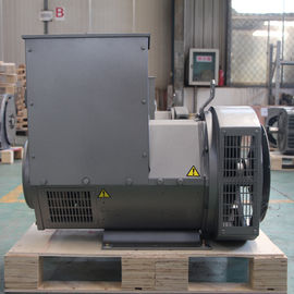 Generatore di CA residenziale del diesel del portatile 20kw 50hz 110 - 240V SX460 AVR