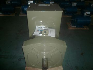 alternatore del cuscinetto del doppio 300KW con la monofase di CA della prima classe AVR IP22